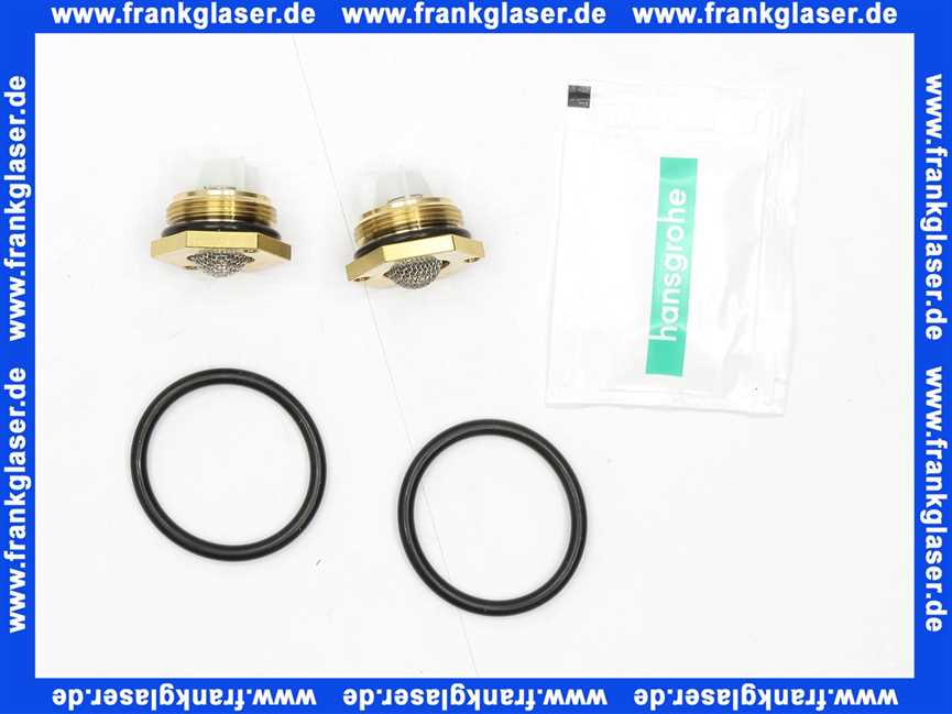 95773000 Hans Grohe Rückflussverhinderer mit Sieb