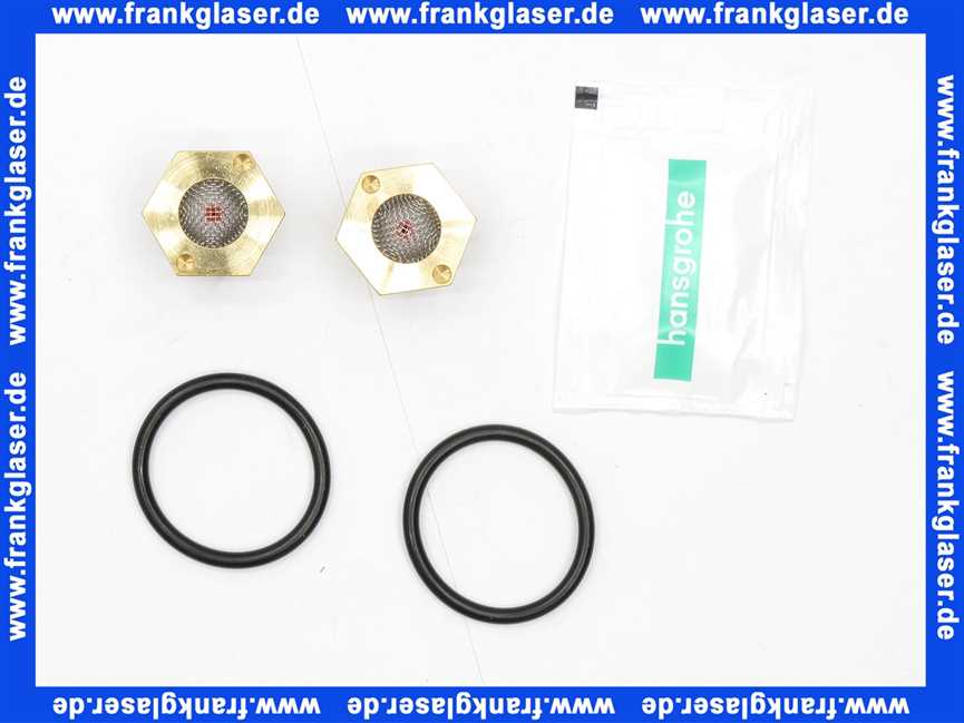 95773000 Hans Grohe Rückflussverhinderer mit Sieb