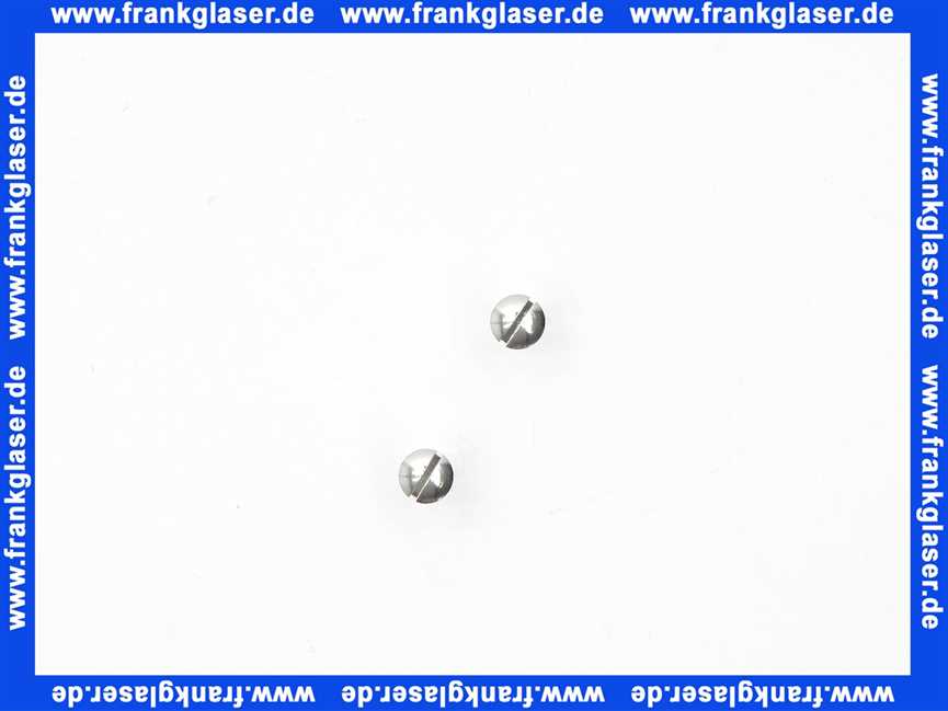 96065000 Hans Grohe Hohlschraube M5 chrom zur Resettenmontage