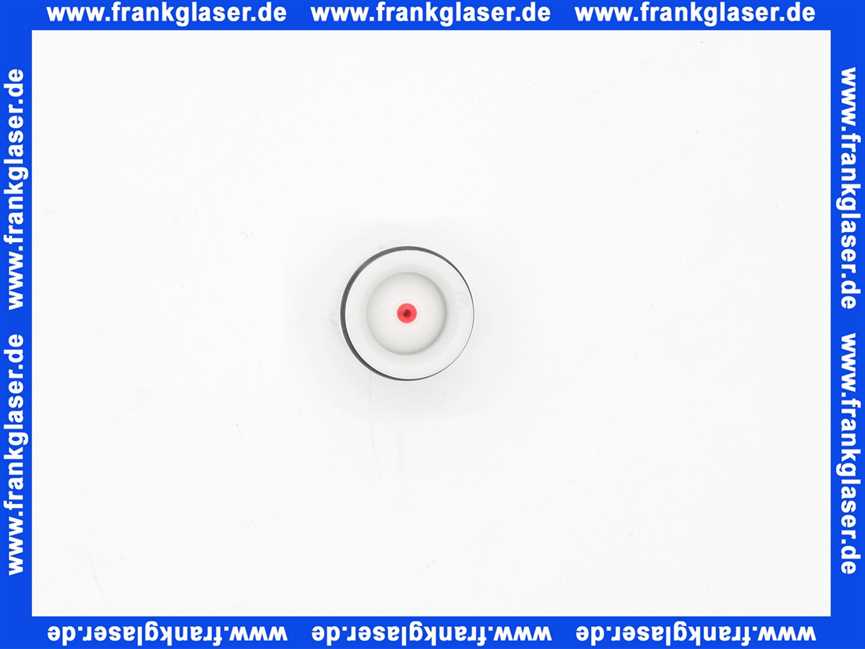 96655000 Hans Grohe Rückflussverhinderer OV20/DN20 für Fertigset ibox universal mit RSS