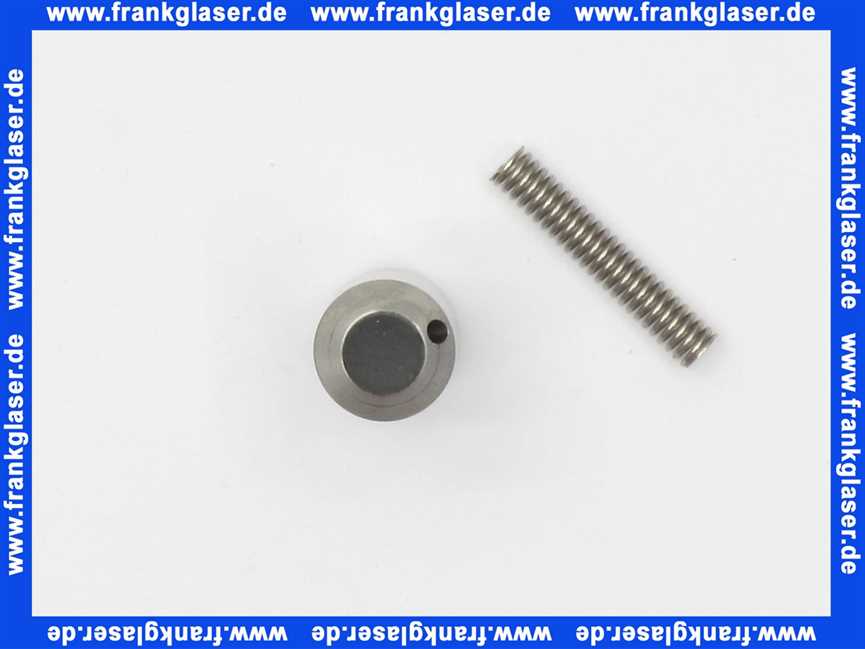 97119000 Hansgrohe Feder und Stössel