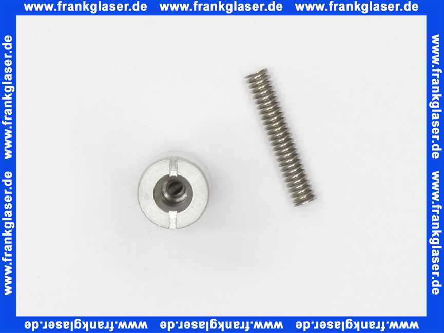 97119000 Hansgrohe Feder und Stössel