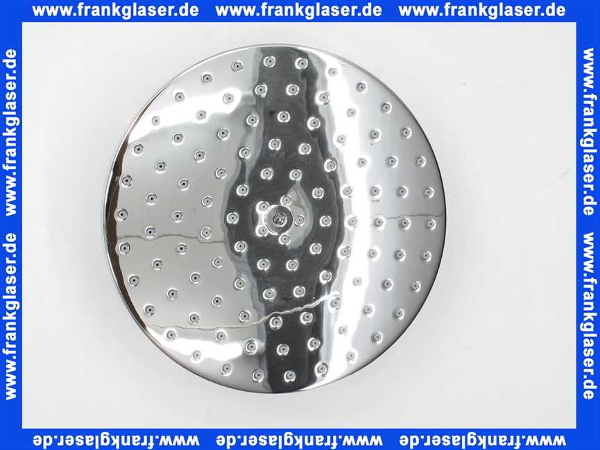 97195000 Hansgrohe Kopfbrause