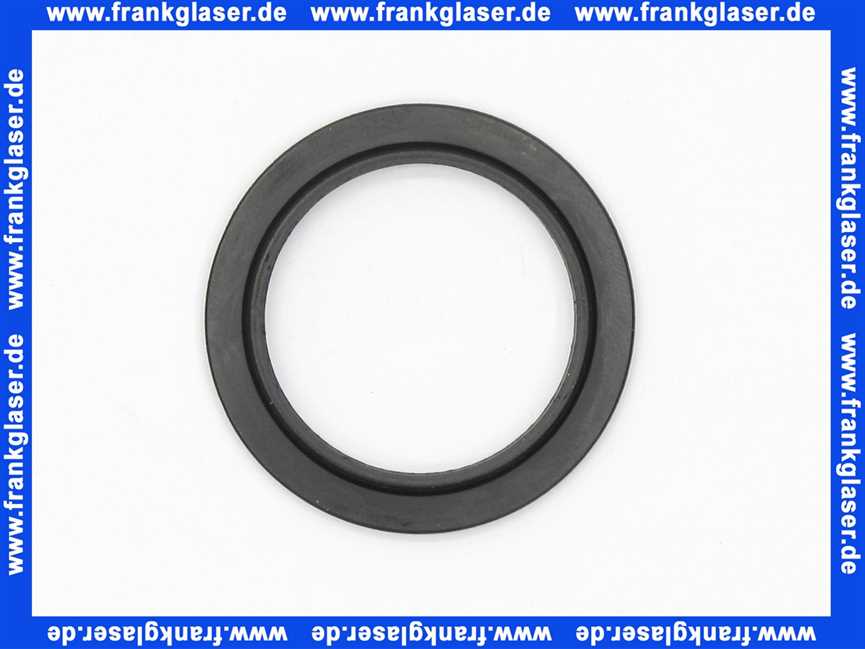 97205000 Hans Grohe Dichtung