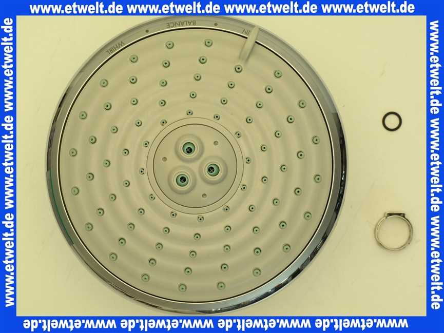 97278000 Hansgrohe Raindance Kopfbrause