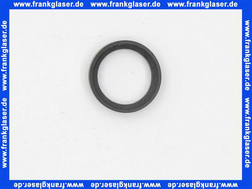 97606000 Hans Grohe Formdichtung für Kopfbrause
