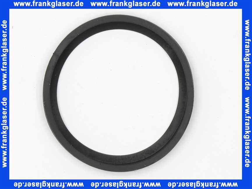 97752000 Hans Grohe Dichtring DN20