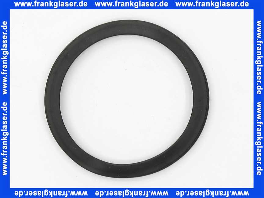 97752000 Hans Grohe Dichtring DN20