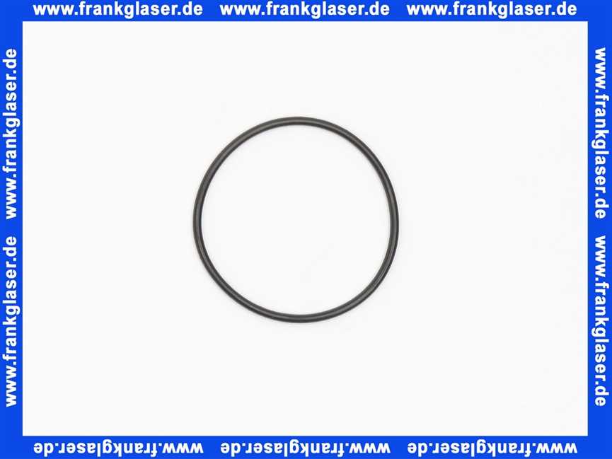 59901532 Hansa O-Ring Dichtung 27x2mm