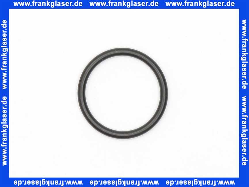 59911479 Hansa O-Ring Dichtung d: 25,07 x d: 2,62