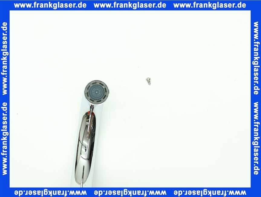 59913301 Hansa Schwenkauslauf komplett Vantis