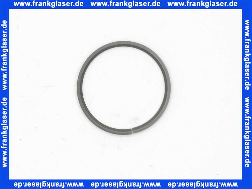 Hansa Gleitring 59914486 1 Stück