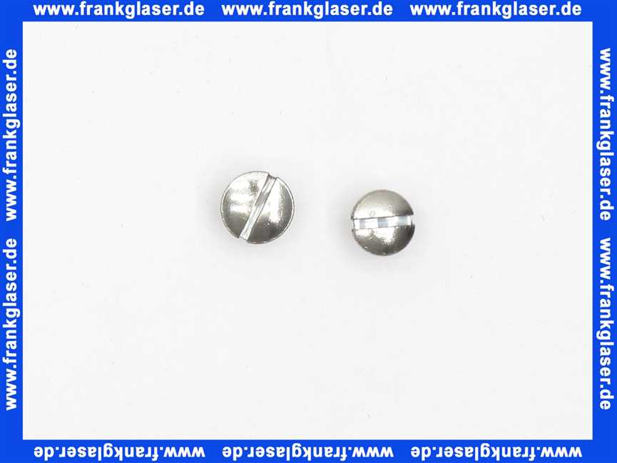 96069 HansGrohe Linsensenkschraube