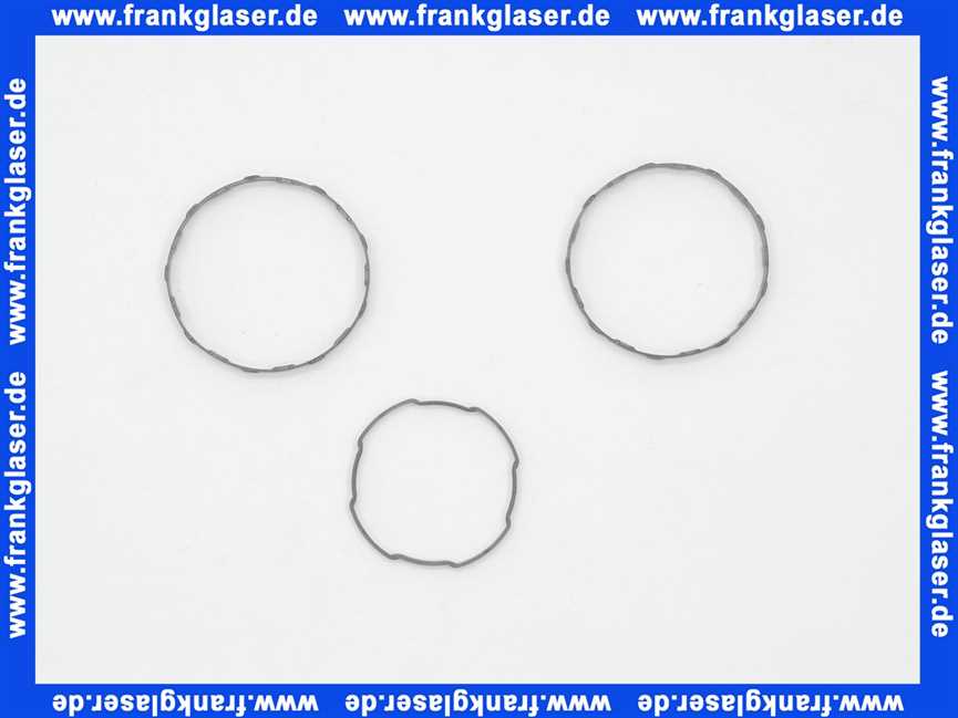 97599 Hans Grohe Gleitring-Set