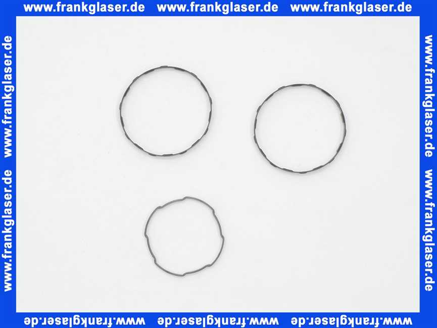 97599 Hans Grohe Gleitring-Set