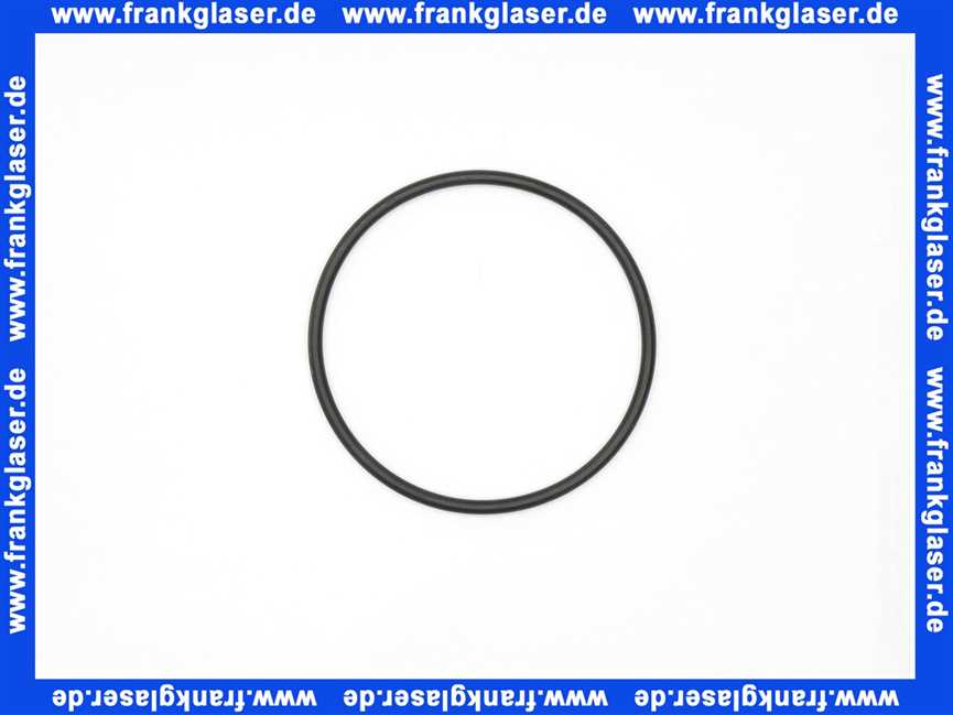 0900747 Honeywell O-Ring Dichtung Dichtring (1Stück)