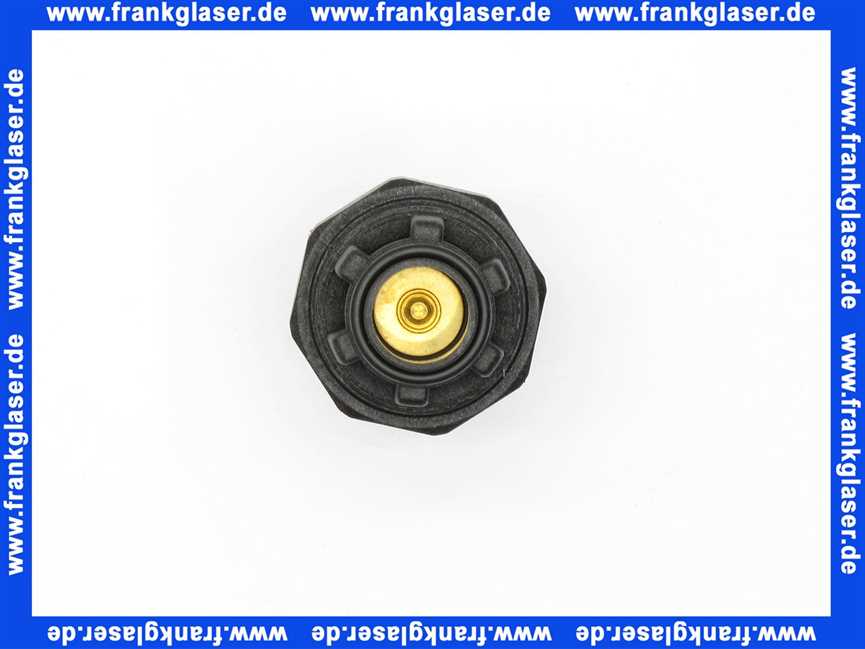 A152-1/2 AA Honeywell Sicherheitsventil Austauschsatz 6 bar