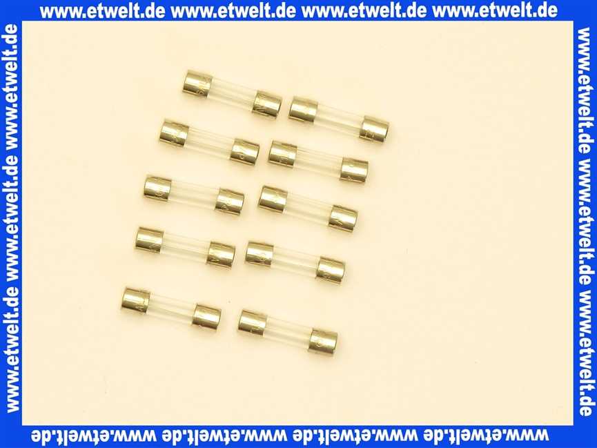 19045227400 Junkers Sicherung T1,6A (10x)