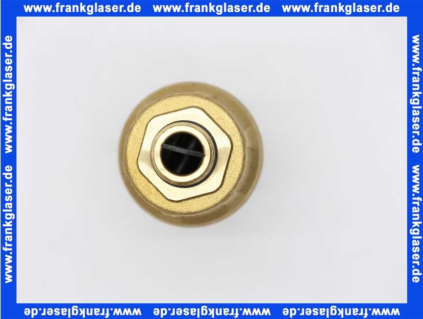 Junkers 7736700731 Entlüfter mit Schlauchverbindung