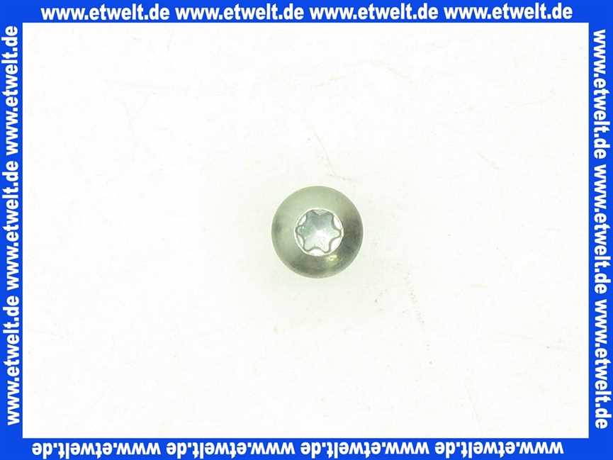 7746900310 Junkers Schraube für BK 16 (1 Stück)