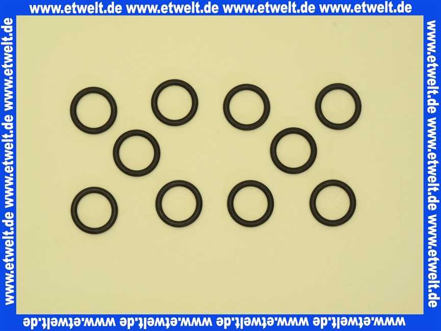 87002051280 Junkers O-Ring (10x)