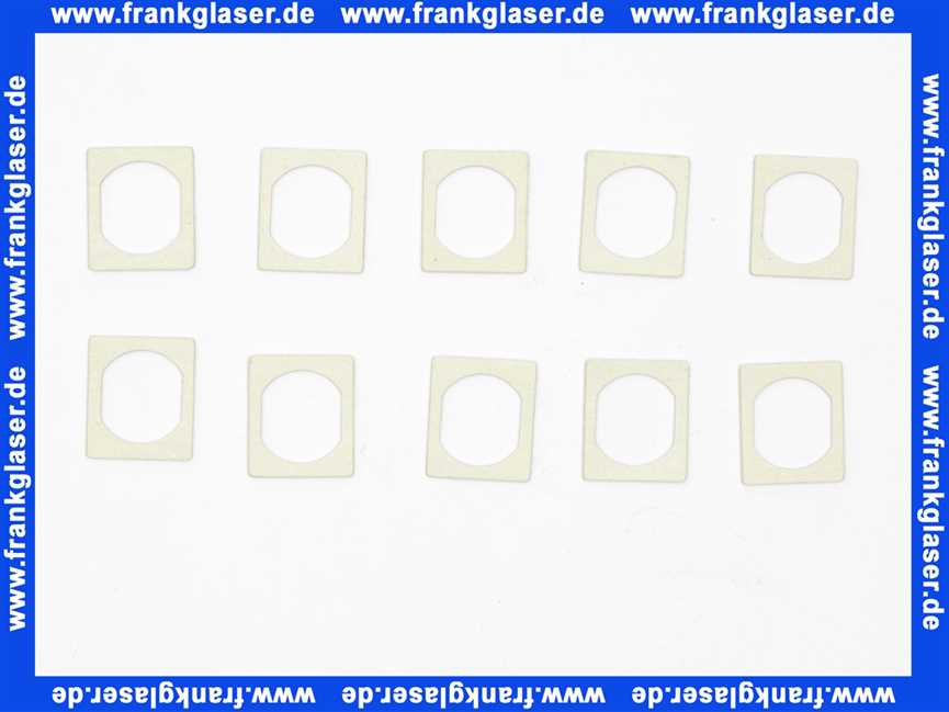 87010030100 Junkers Dichtung (10x)