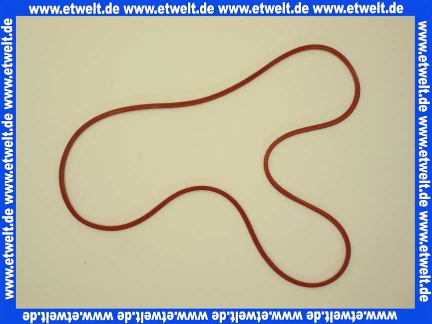 87110043430 Junkers Dichtung
