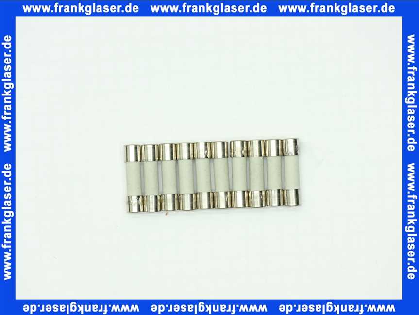 Junkers 87185706640 Sicherungseinsatz 230V/10A 5x20mm (10x)