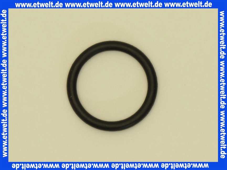 8718601962 Junkers O-RING 2.62X18.72 für BK 11 W-11,-18 1 Stück
