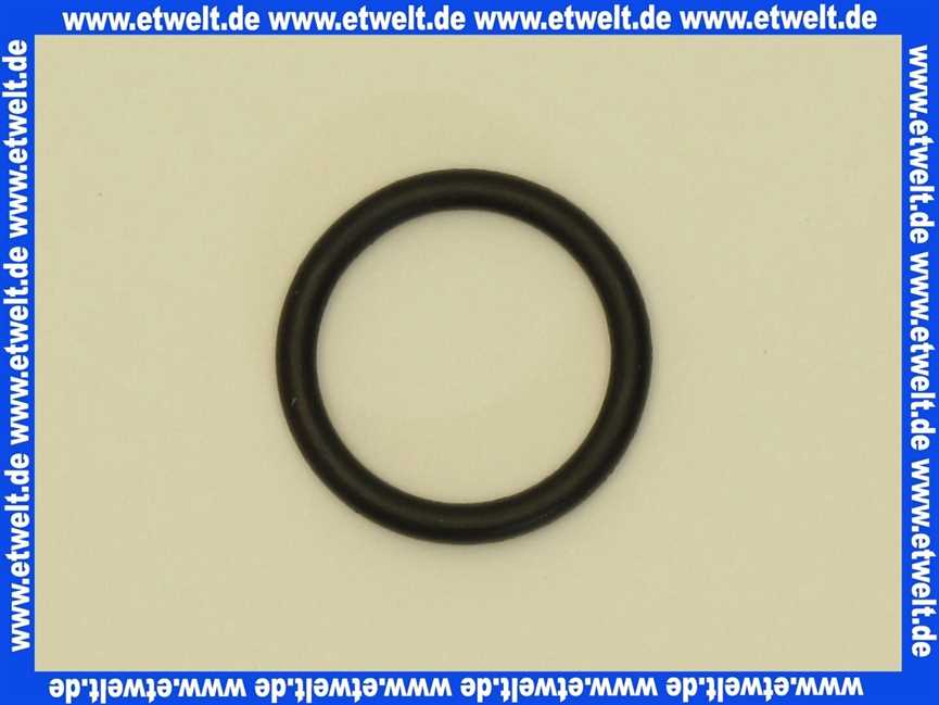 8718601962 Junkers O-RING 2.62X18.72 für BK 11 W-11,-18 10 Stück