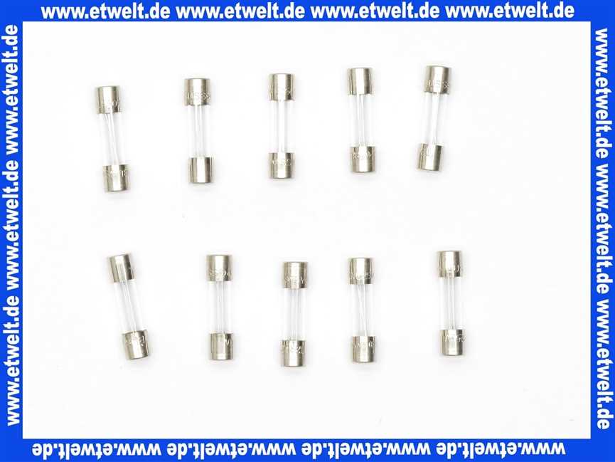 87229017630 Junkers Sicherung F2A (10x)