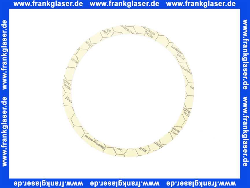 Junkers 8738718866 Dichtscheibe 8738718866