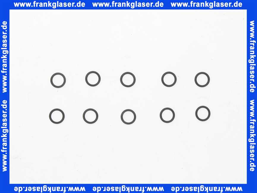 87402050090 Junkers O-Ring (10x)