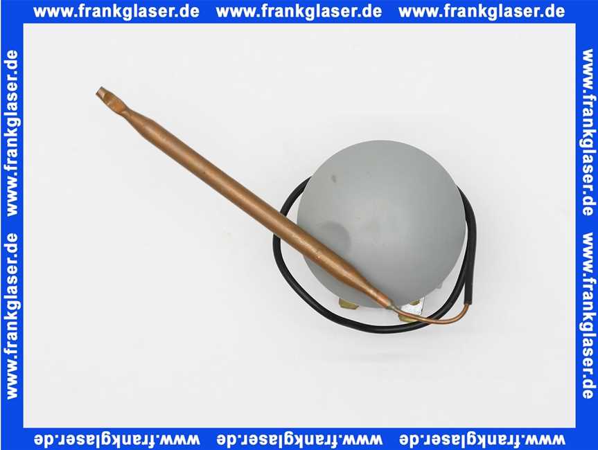 124937 Kaldewei Temperatur-Regler