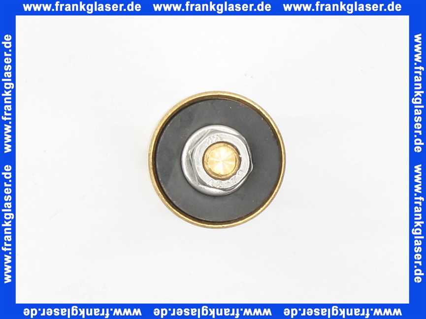 A61095700001500 Ventilkegel inkl. RV und Dichtung für Frosti 570/571/572 DN15 1/2 Zoll