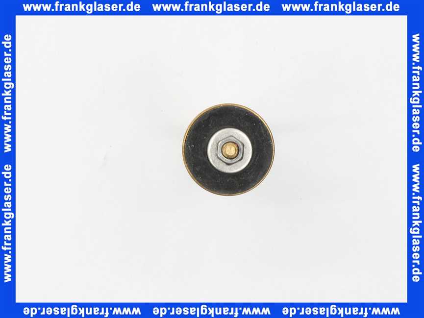 A61095700002000 Ventilkegel inkl. RV und Dichtung für Frosti 570/571/572 DN20 3/4 Zoll