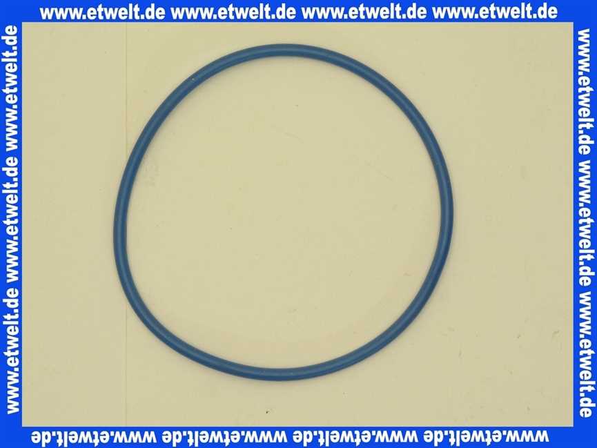 MHG MAN O-Ring DN 80 x 3,5 mm blau für Rev.-T-Stück Silicon 96000600624