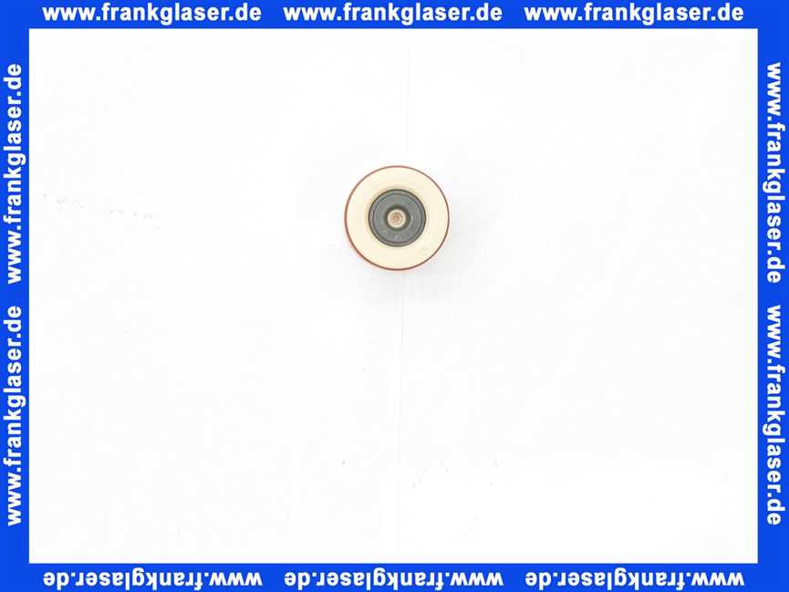 56105094 Neoperl® Rückflussverhinderer-Patrone DW 15 GF DN 10