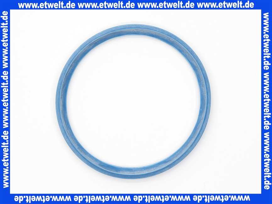Remeha Dichtelement Dichtring DN 80/Blau 0009270