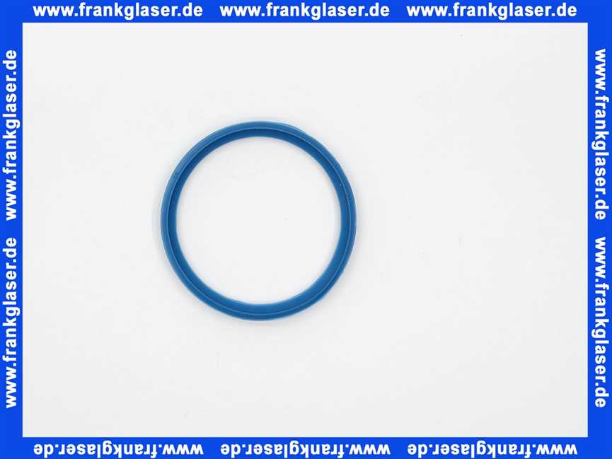 Remeha Dichtung DN 70 Kesselanschluß DPSM 0257432