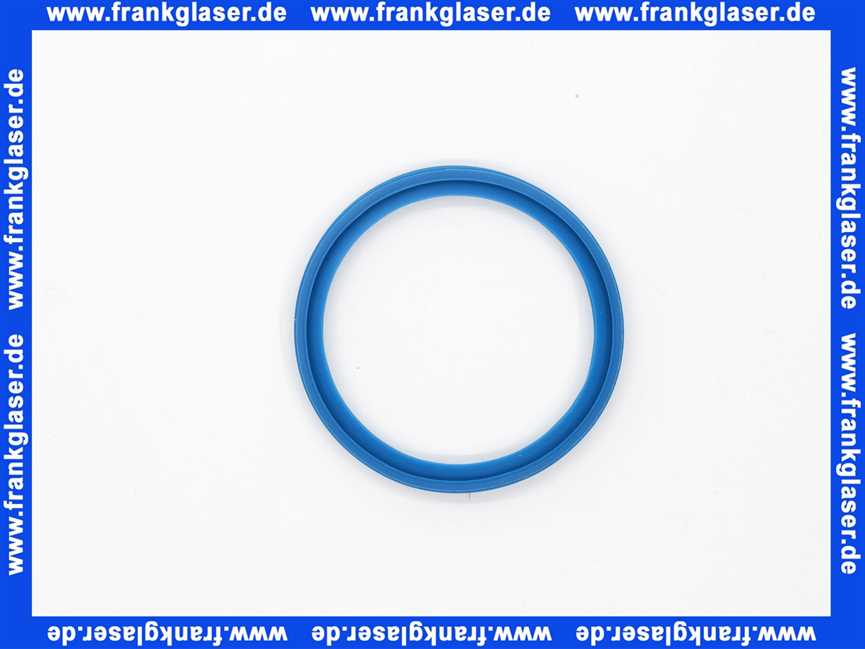 Remeha Dichtelement DN 60/Blau 0284798