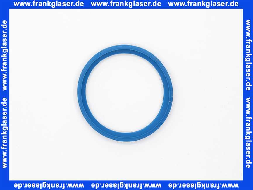 Remeha Dichtelement DN 60/Blau 0284798