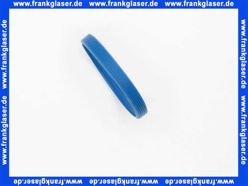 Remeha Dichtelement DN 60/Blau 0284798