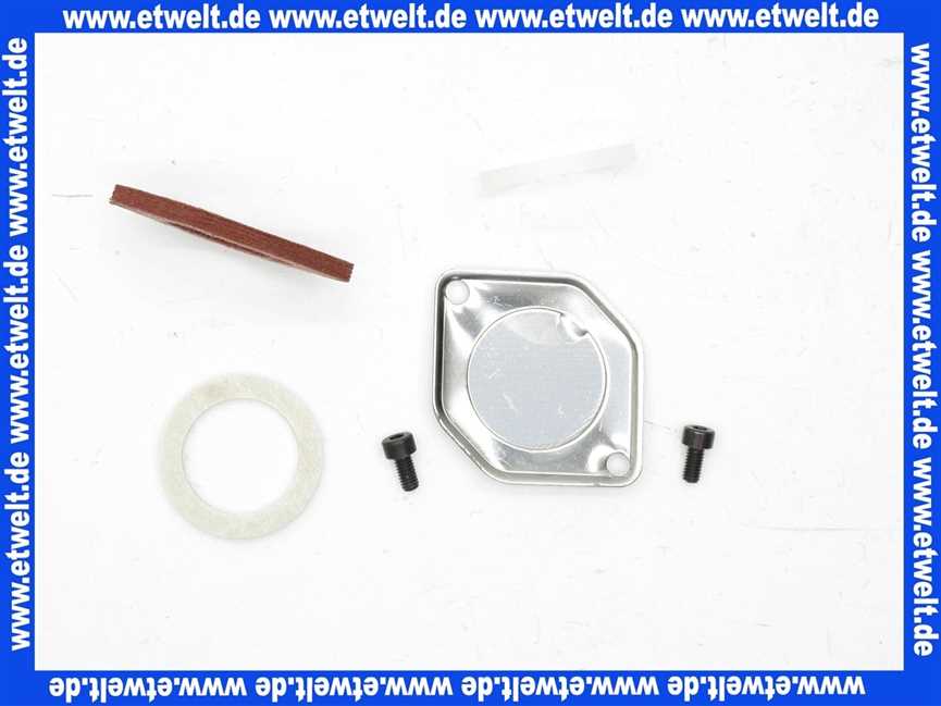 Remeha Schauglas-Set DPSM 215 C DPSM 220/235 0289755
