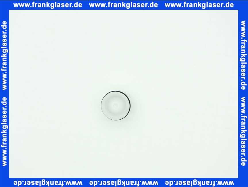 Remeha Rückschlagklappe 200021528