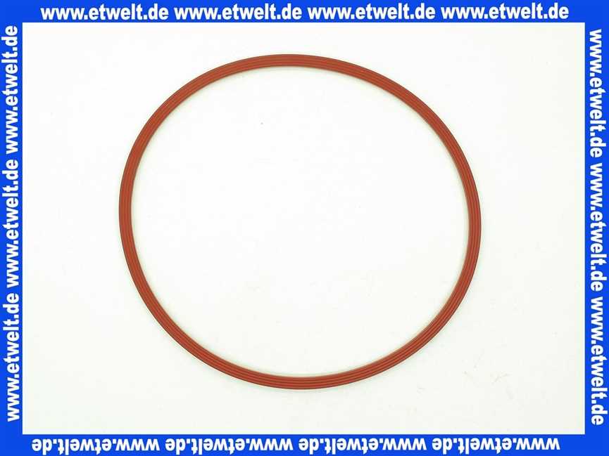 Remeha Dichtung Brennertür 300013282