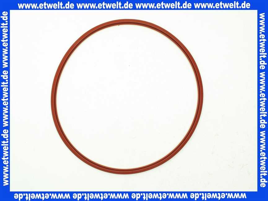 Remeha Dichtung Brennertür 300013282