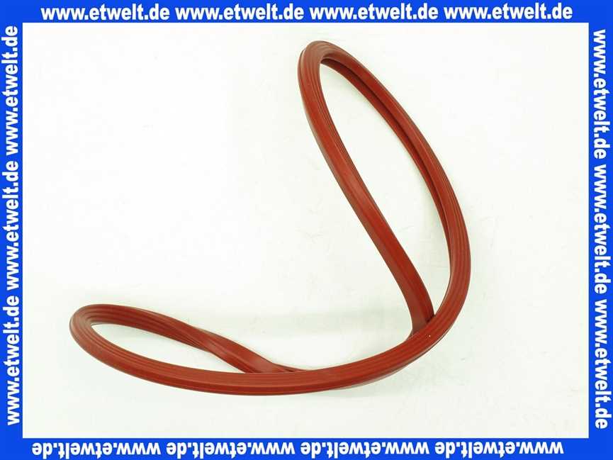 Remeha Dichtung Brennertür 300013282