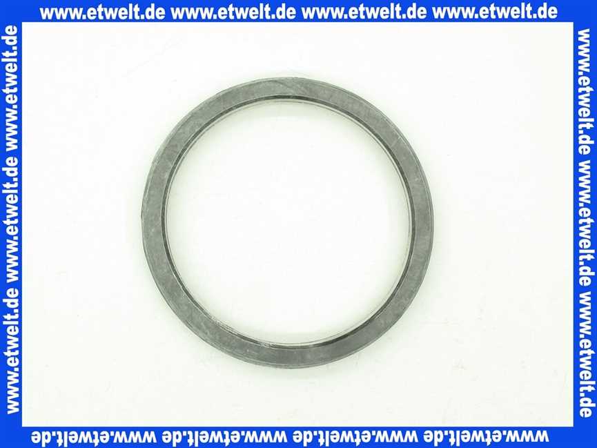 Remeha Dichtung 300019004