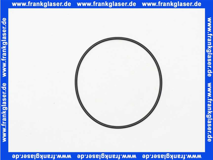 Remeha O-Ring-Dichtung Hera Condens 7626806 (1 Stück)